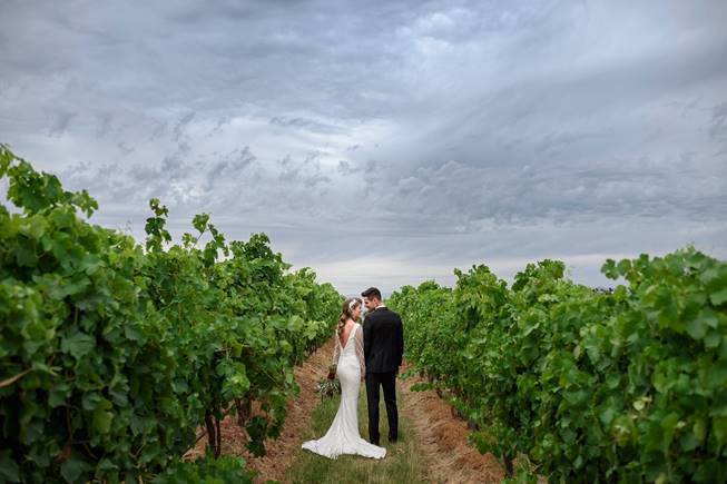 Vines Helens Hill Wedding Location