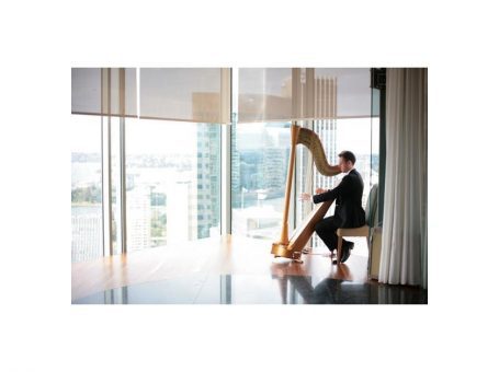 Harpist – Hank Meadows