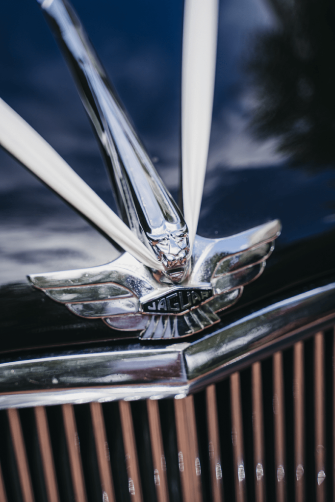 A close-up photo of the hood ornament of the 1955 Jaguar MKVII sedan