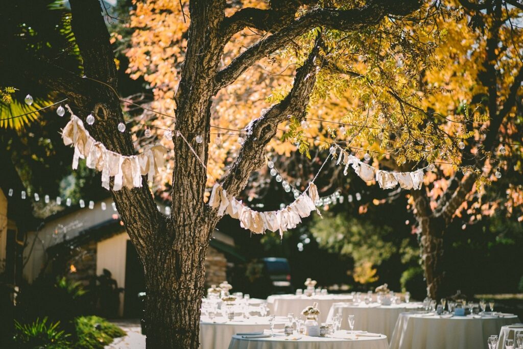 Venue decorations for backyard wedding